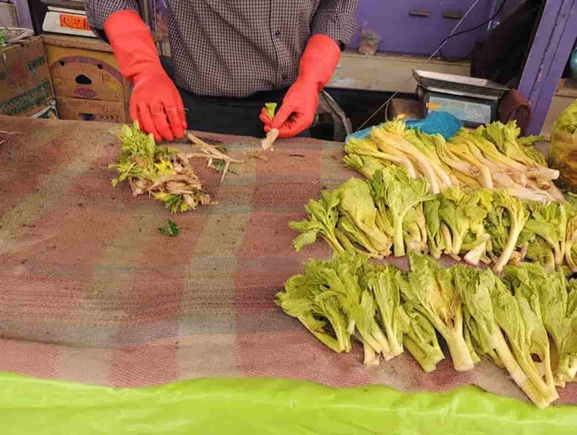 کرفس کوهی کلوس خشک با عطر کوهستانی و طعم ماندگار